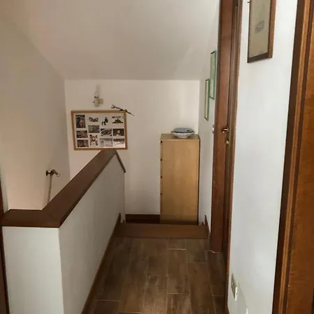 Apartment Villino Riana Close To The Beach Of Marina Di Pietrasanta *
